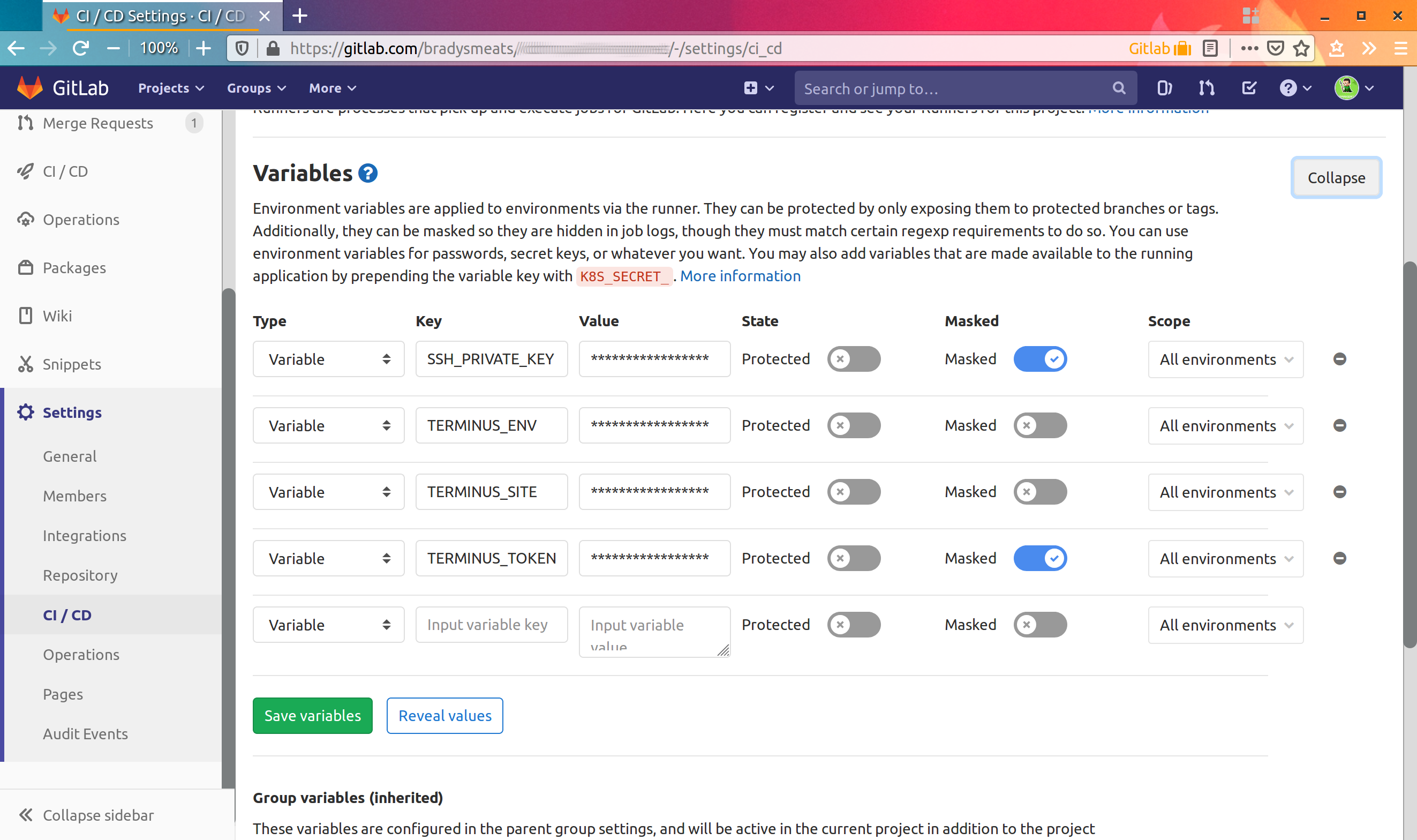 Screen capture of setting GitLab CI variables